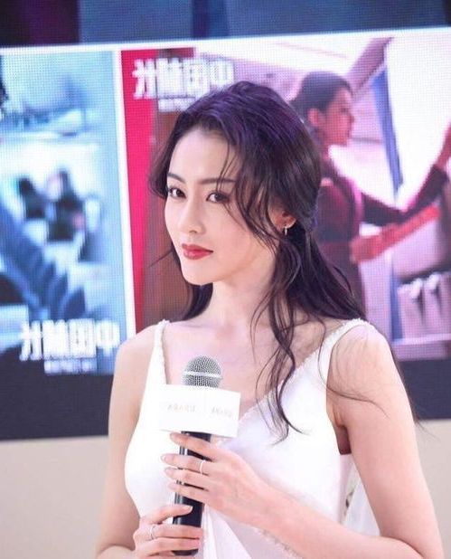 ia_100000314.jpg