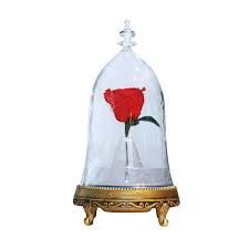 images - 2022-03-06T202627.591.jpg